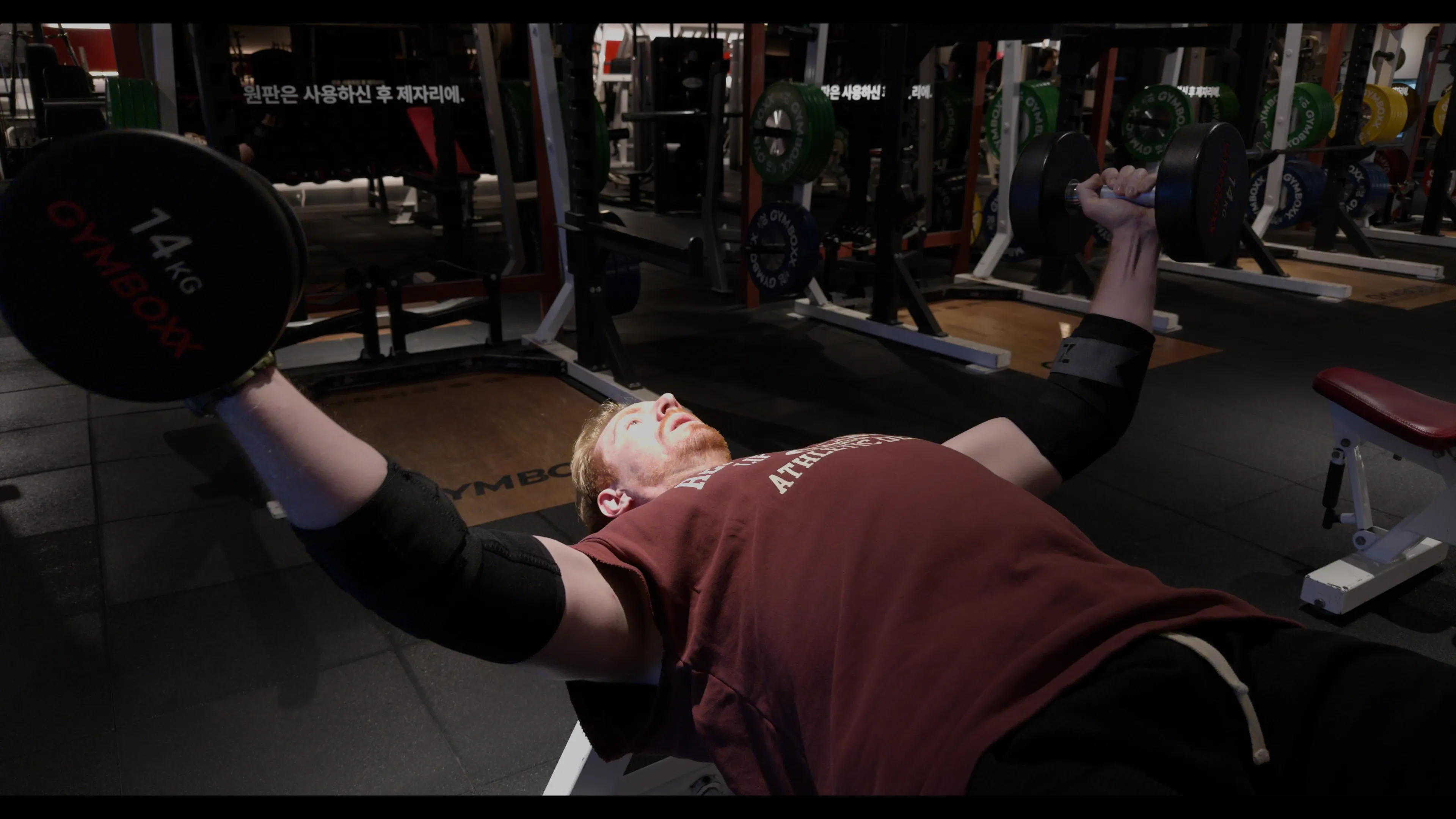 Chest Fly (Dumbbell)