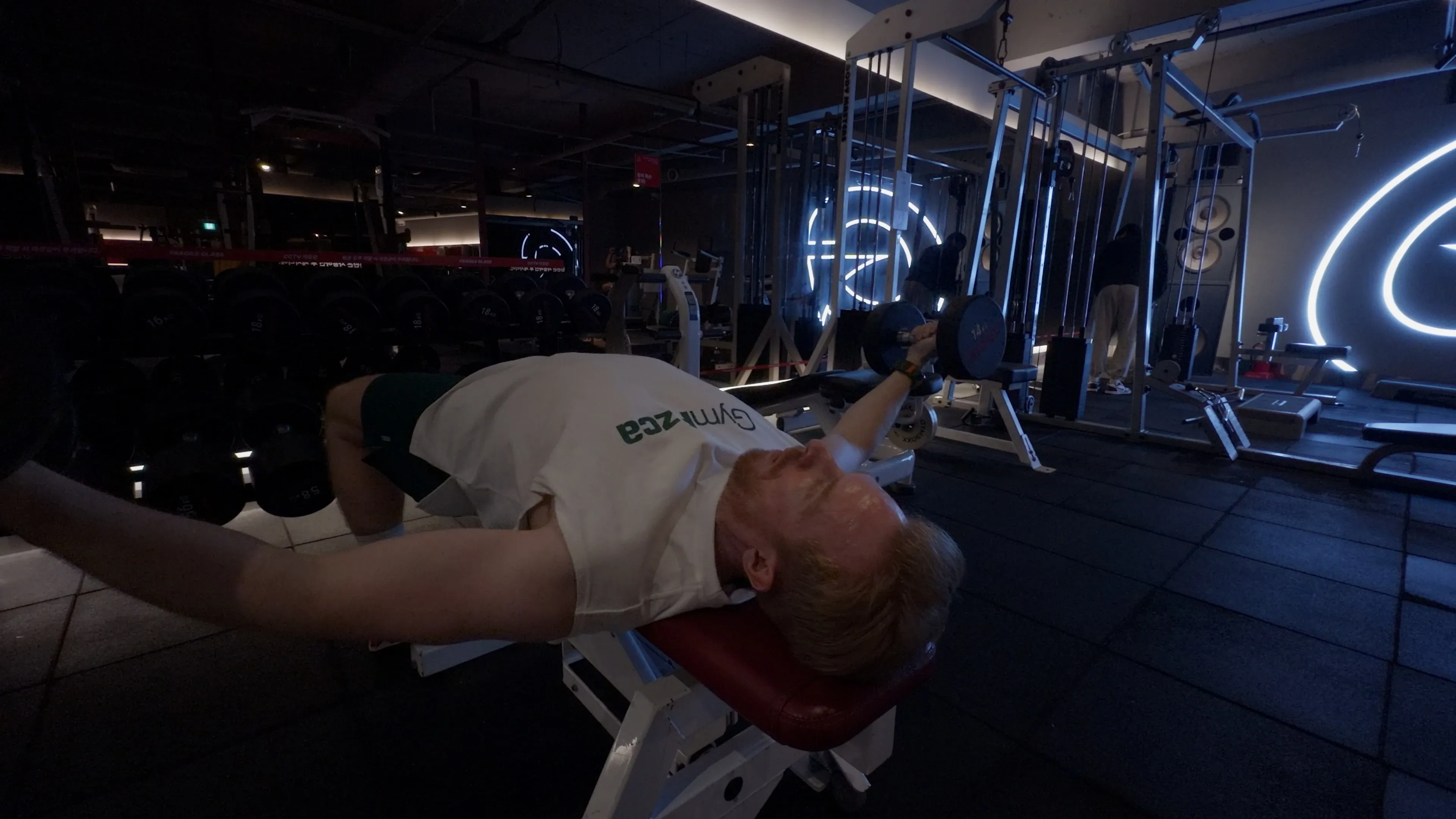 체스트 플라이 (덤벨)