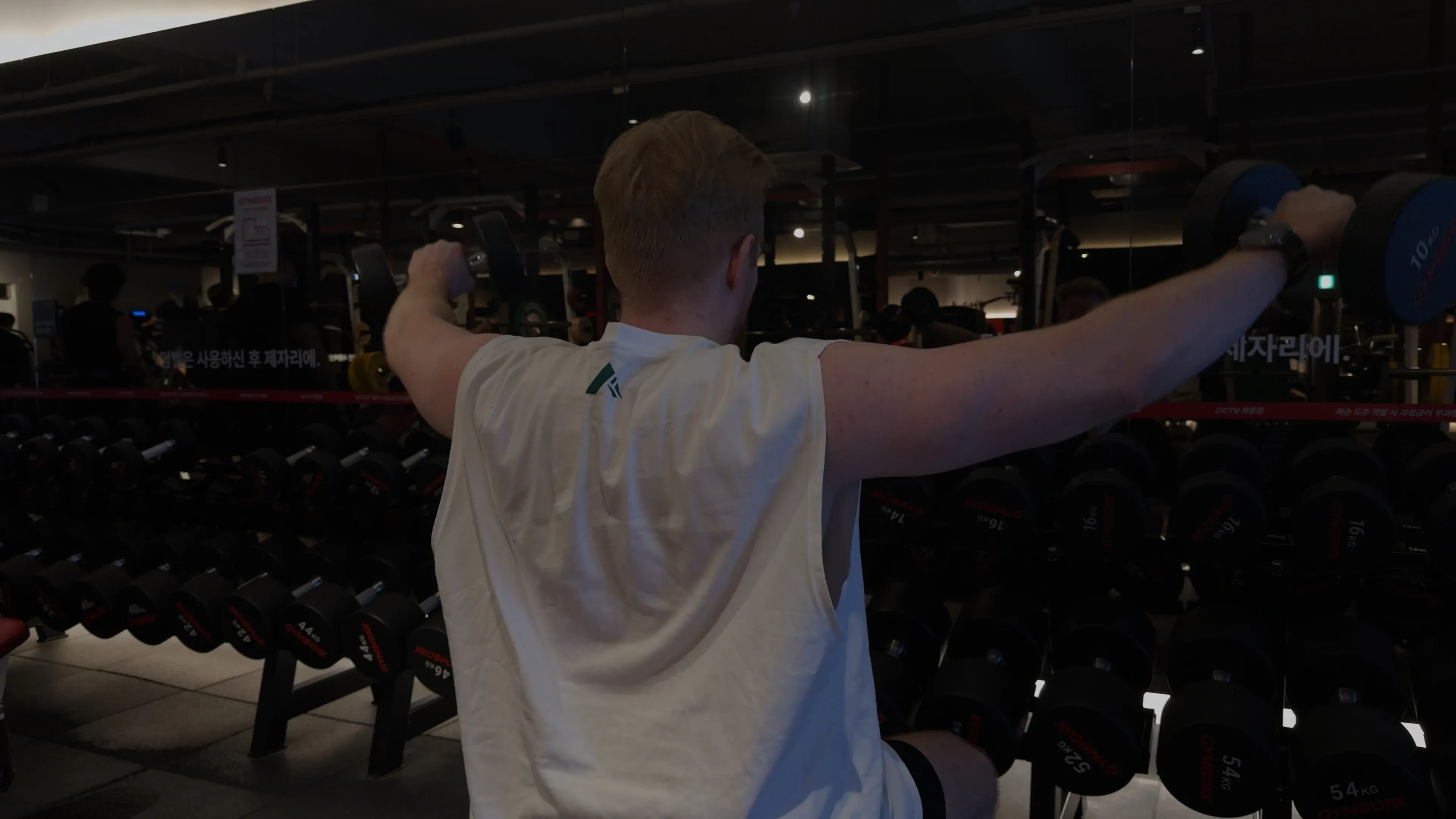 덤벨 사이드 라테랄 레이즈