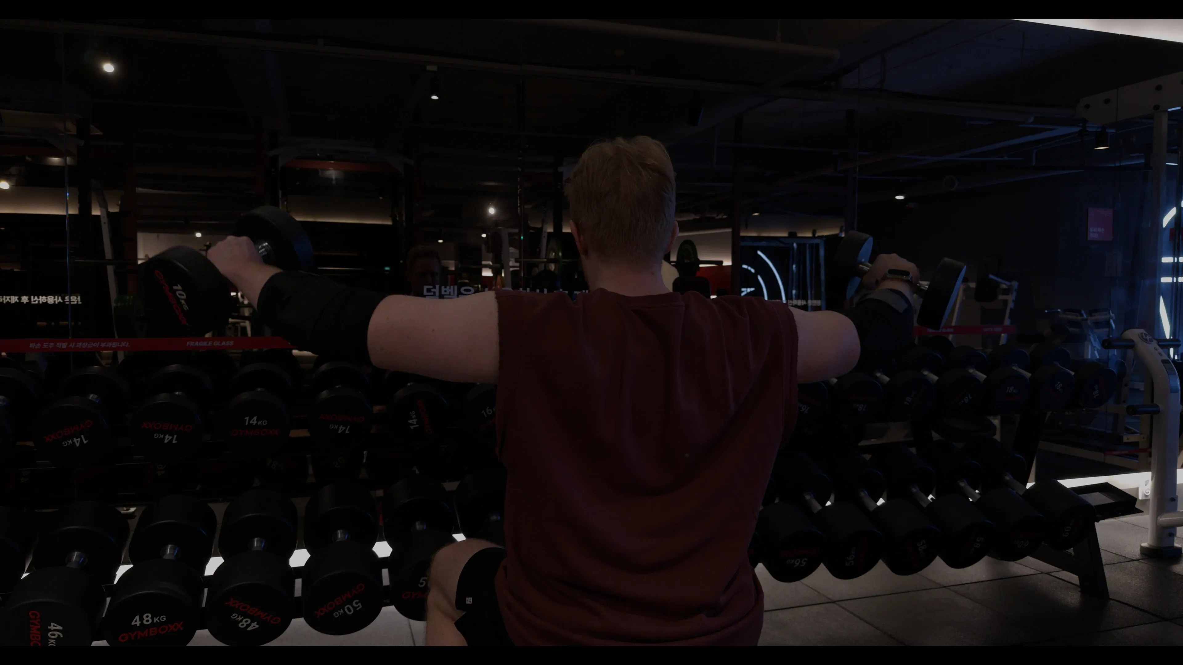 Dumbbell Side Lateral Raise