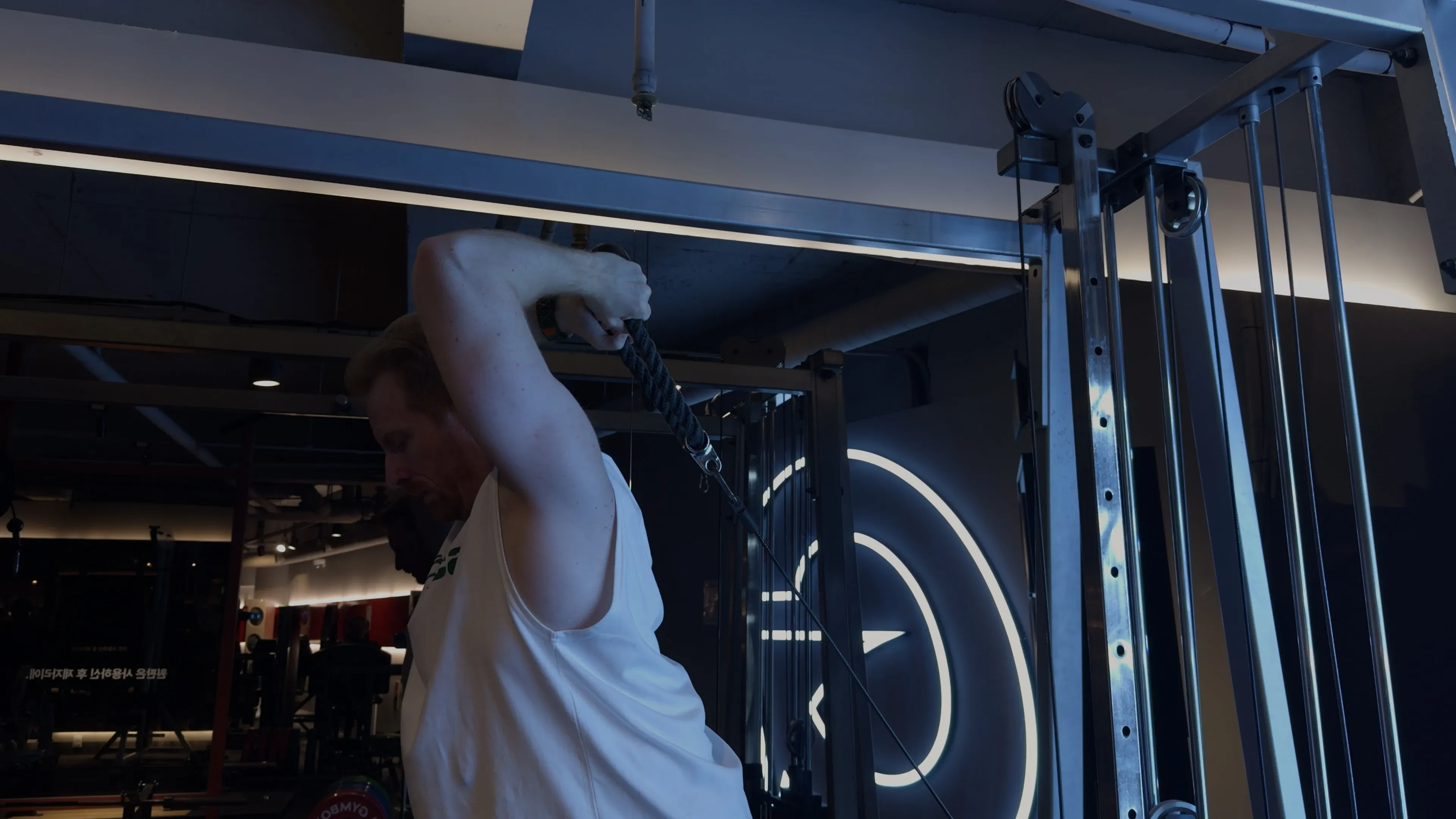 오버헤드 트라이셉스 익스텐션 (케이블)