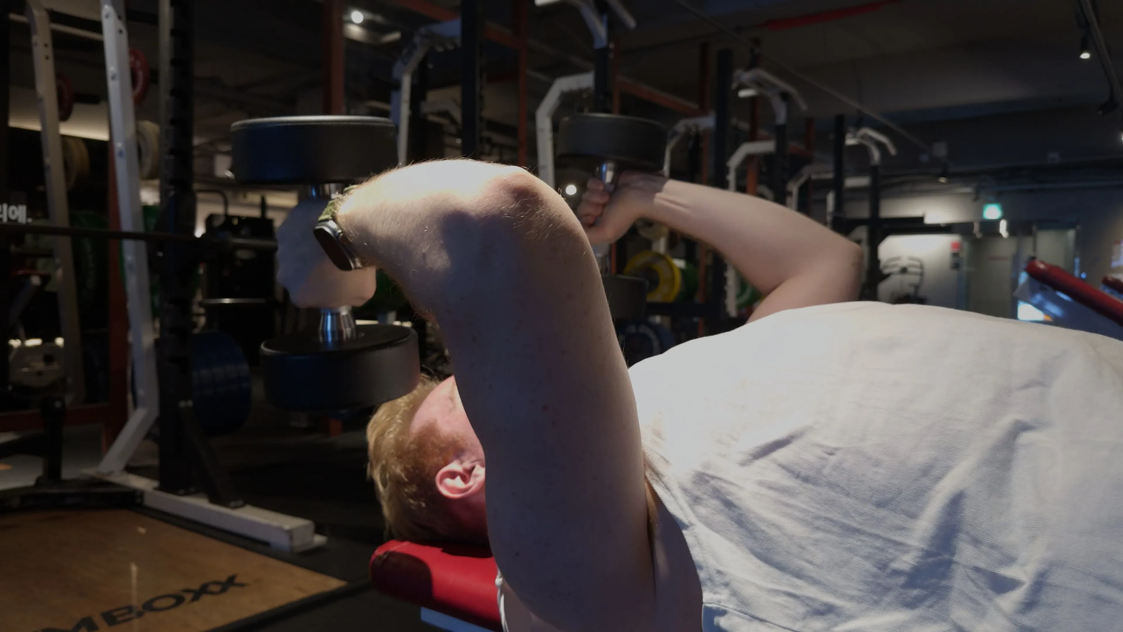 라잉 트라이셉스 익스텐션