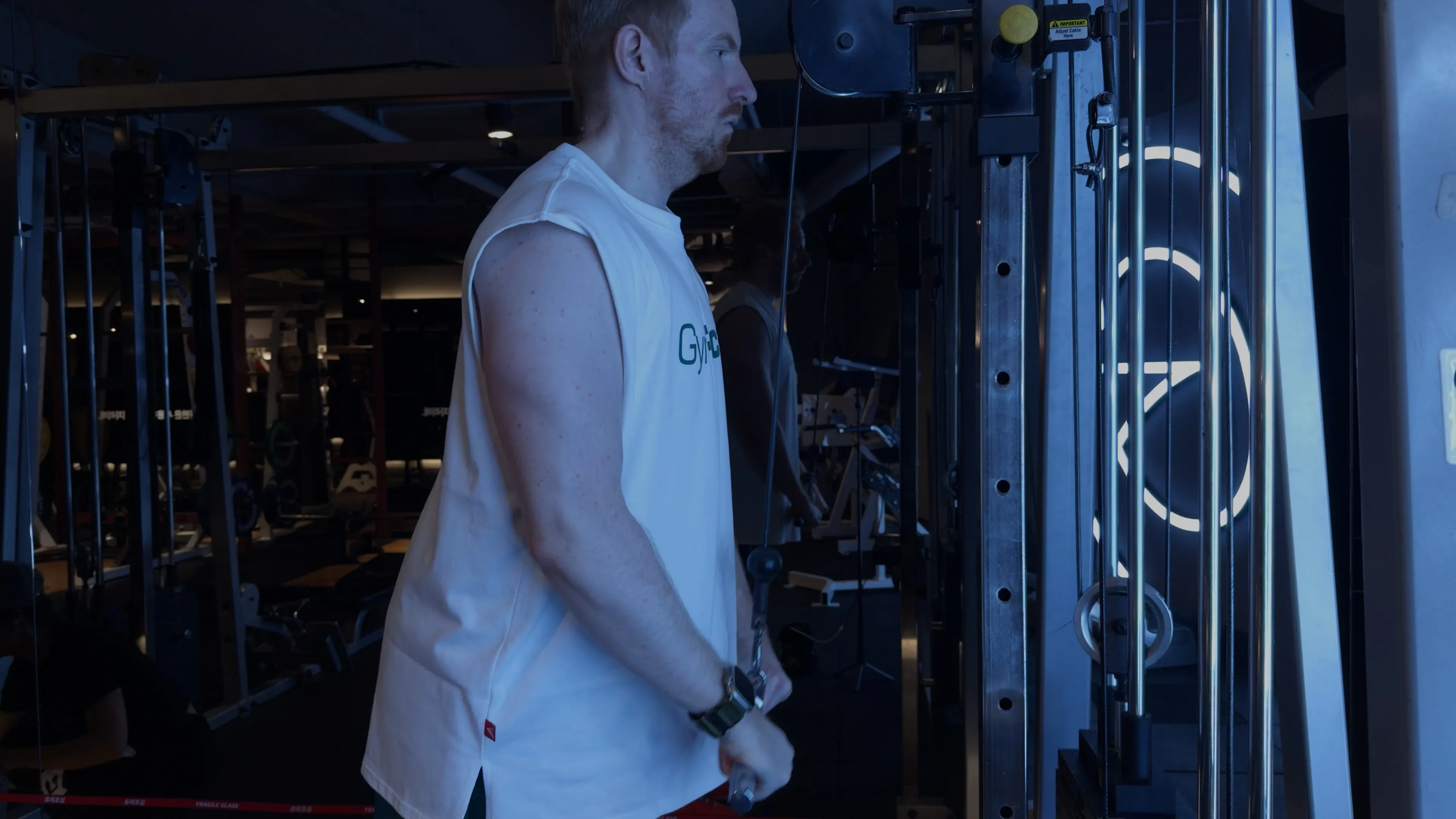 트라이셉스 푸시다운